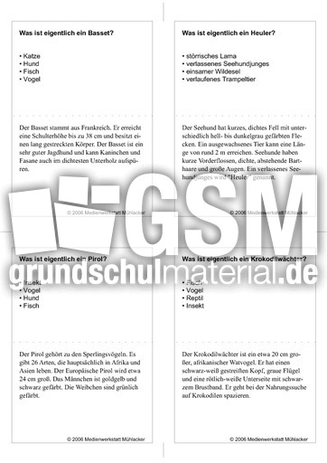 Quiz-Karten-Tiernamen 77.pdf